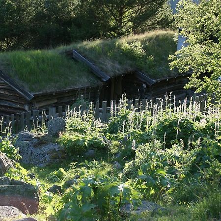 Вилла Strind Gard, Visdalssetra Boverdalen Экстерьер фото