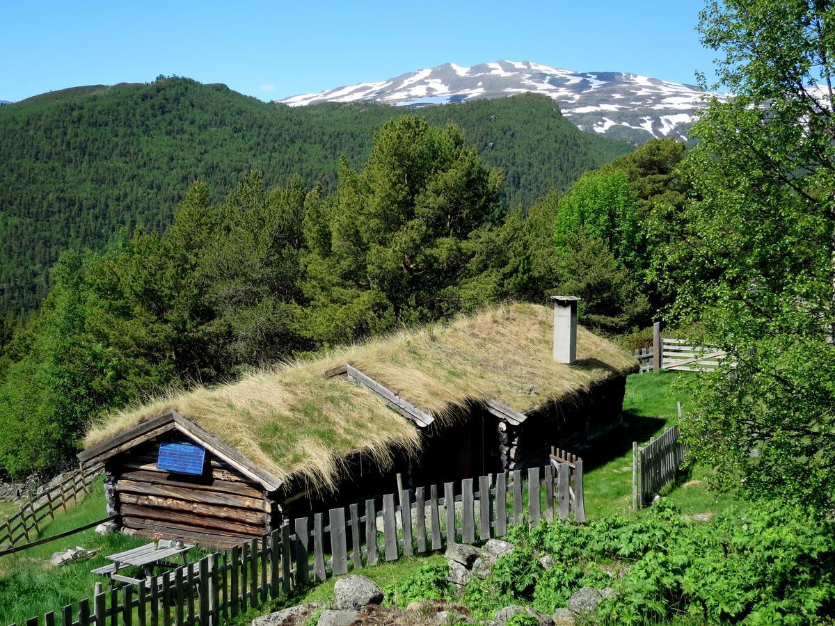 Вилла Strind Gard, Visdalssetra Boverdalen Экстерьер фото