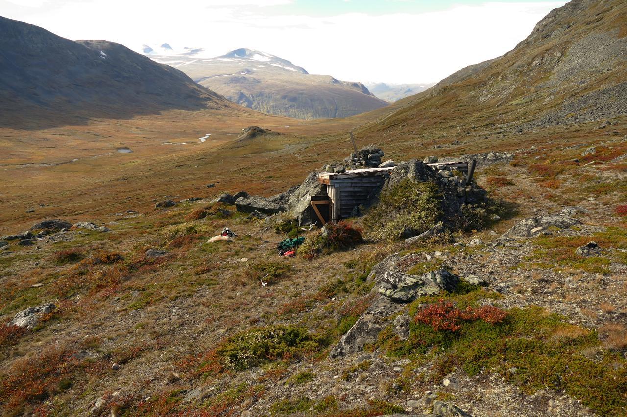 Вилла Strind Gard, Visdalssetra Boverdalen Экстерьер фото