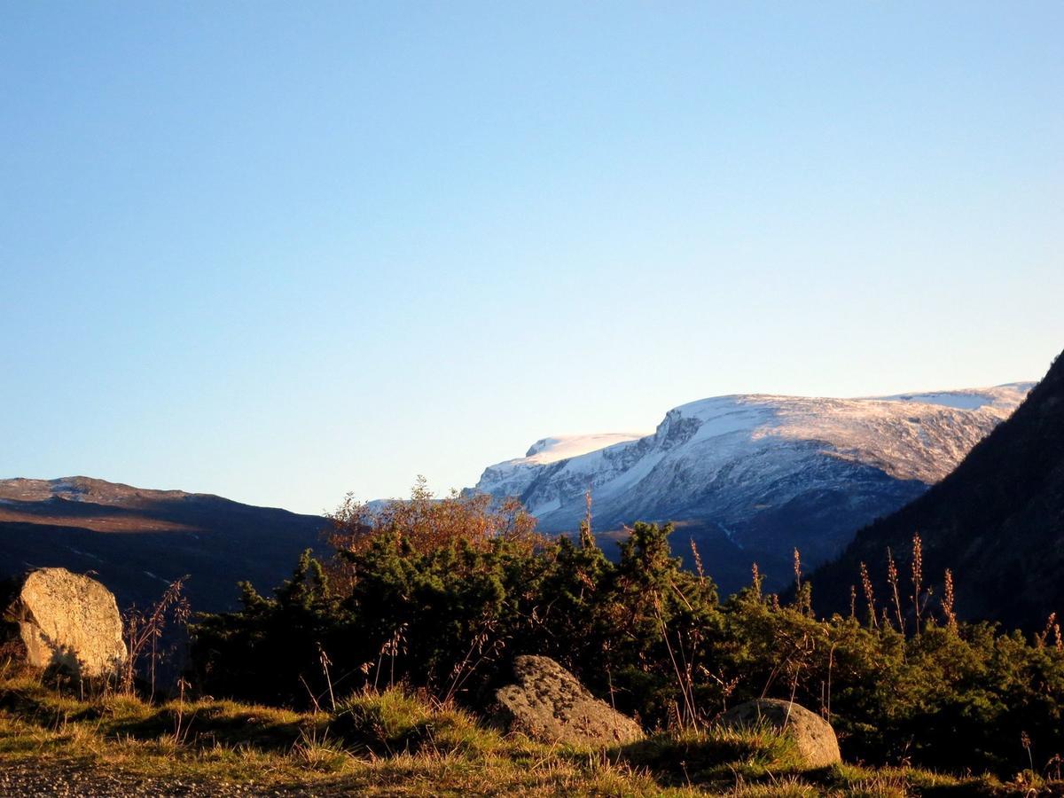 Вилла Strind Gard, Visdalssetra Boverdalen Экстерьер фото