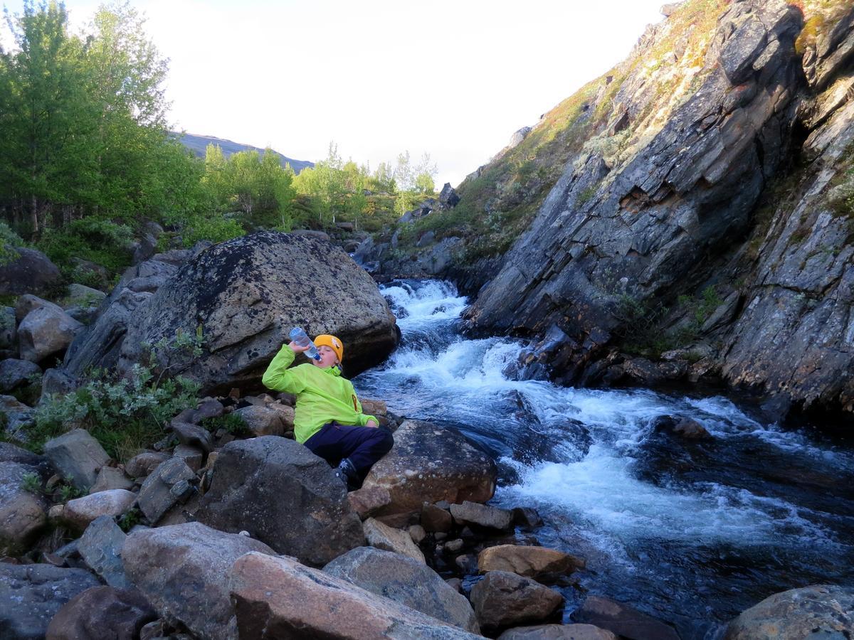 Вилла Strind Gard, Visdalssetra Boverdalen Экстерьер фото