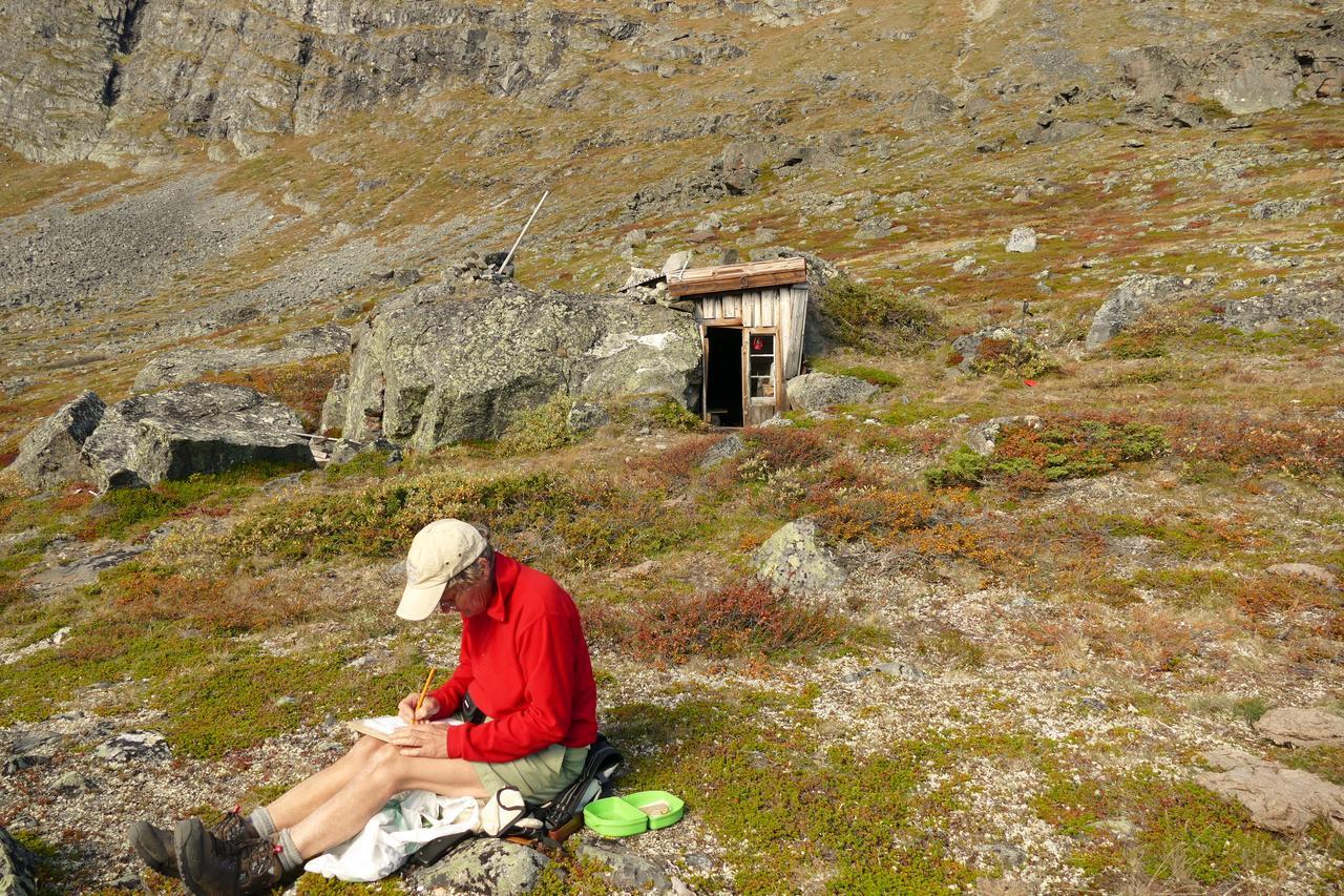 Вилла Strind Gard, Visdalssetra Boverdalen Экстерьер фото