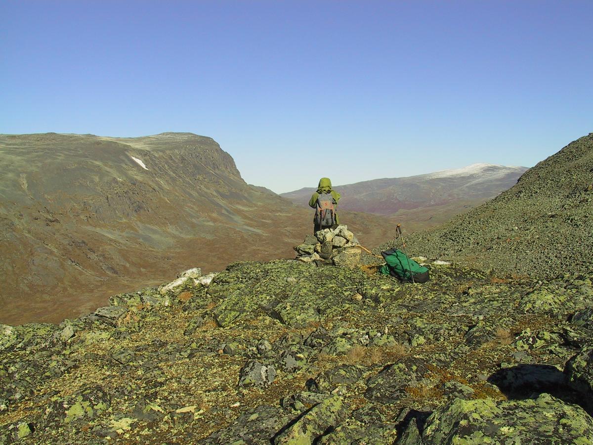 Вилла Strind Gard, Visdalssetra Boverdalen Экстерьер фото