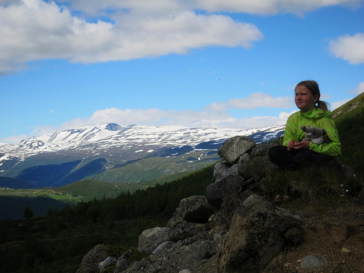 Вилла Strind Gard, Visdalssetra Boverdalen Экстерьер фото
