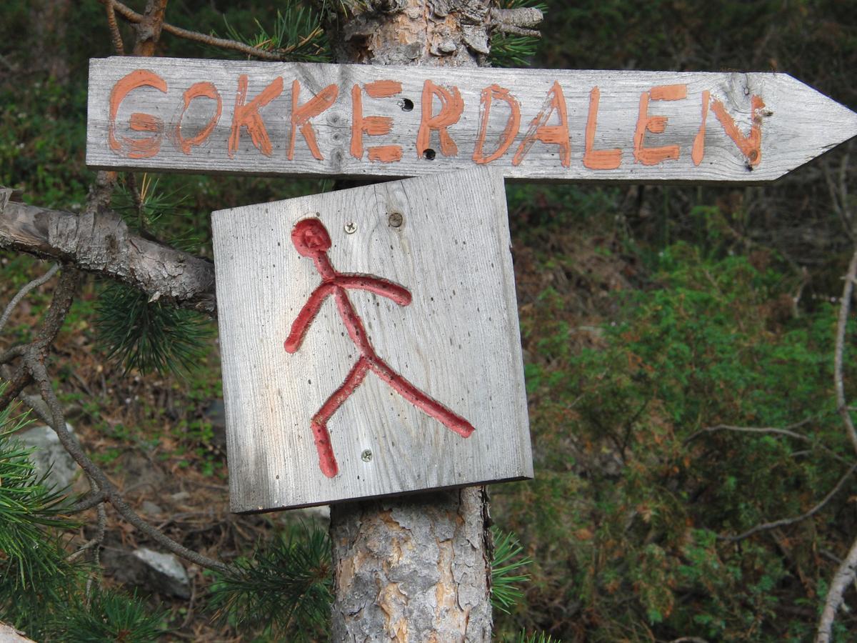 Вилла Strind Gard, Visdalssetra Boverdalen Экстерьер фото