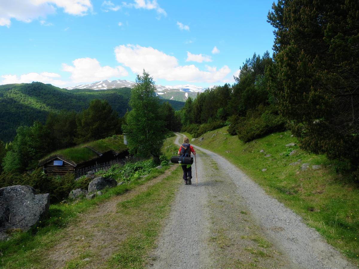 Вилла Strind Gard, Visdalssetra Boverdalen Экстерьер фото