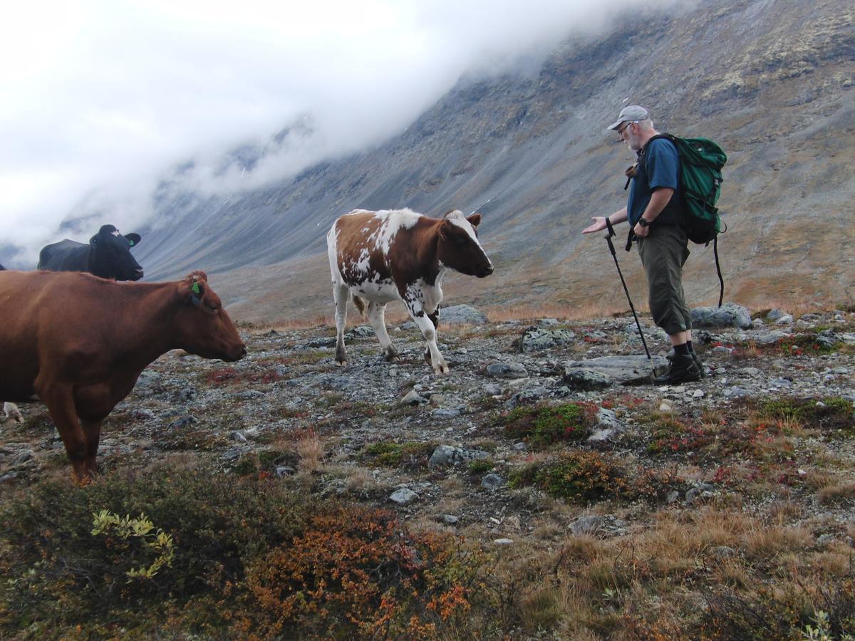 Вилла Strind Gard, Visdalssetra Boverdalen Экстерьер фото